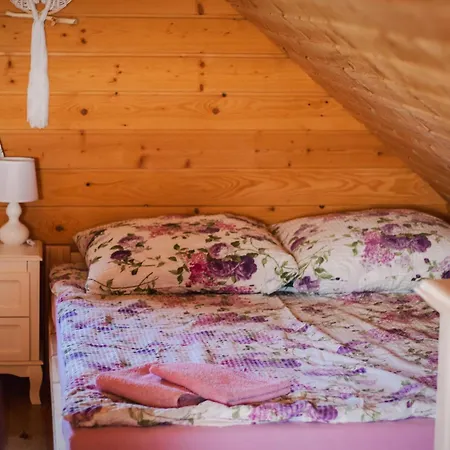 Zacisze Babci Ludwisi W Beskidzie Niskim * Wyskitna